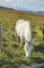 PICTURES/Everything That Did Not Fit Anywhere Else/t_20250927_105731.jpg